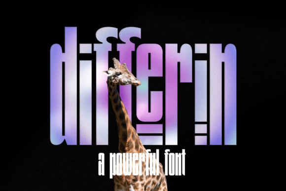 Differin Display Font Review for Creative Projects
