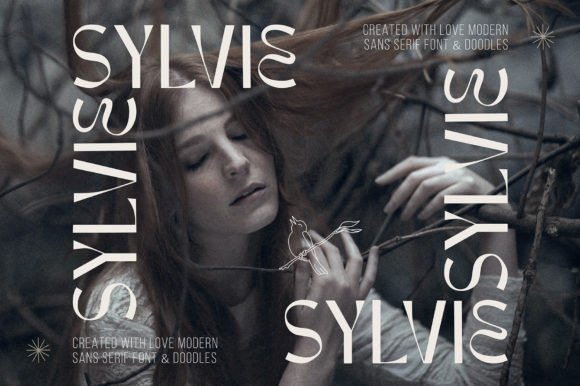 Sylvie Font: A Stylish Display Typeface for Memorable Branding